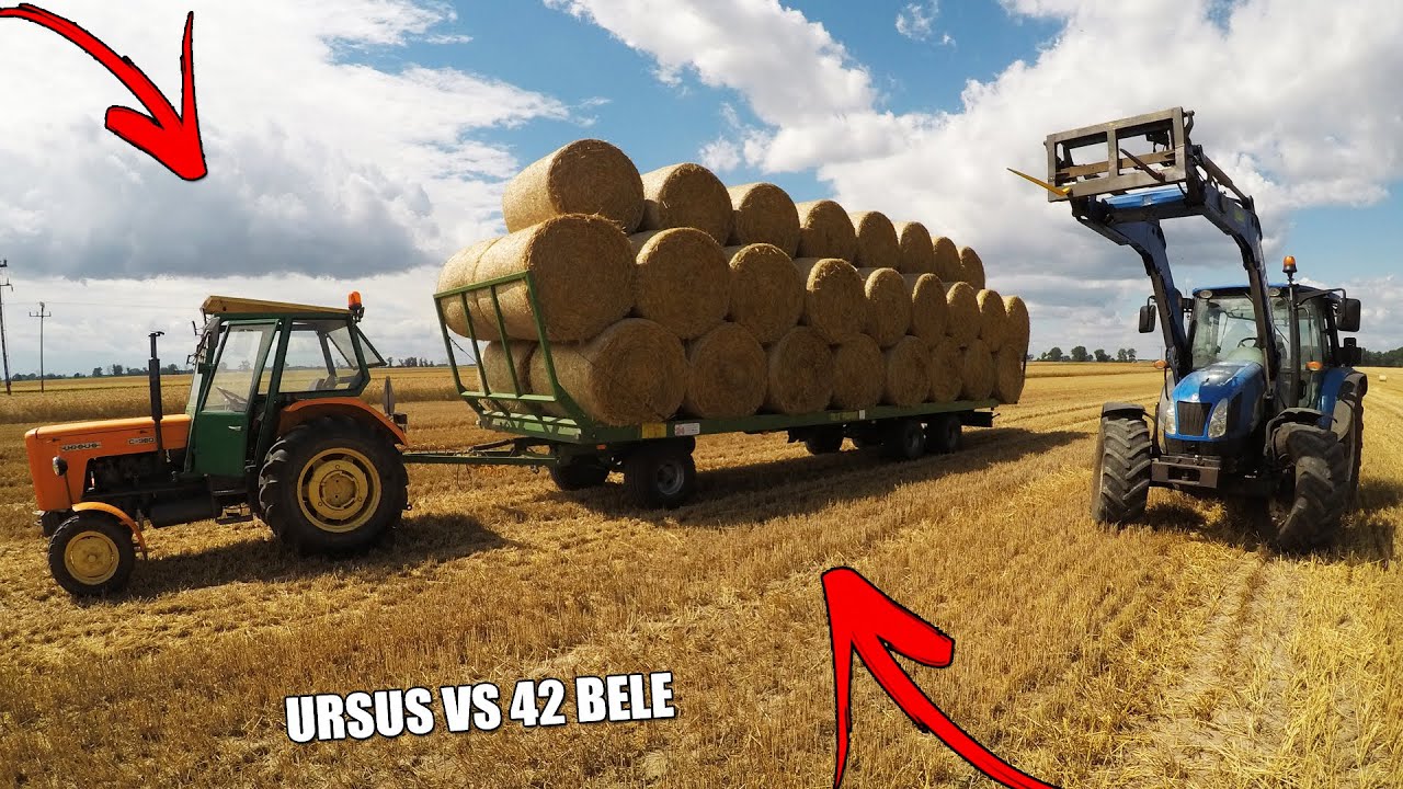 ☆Zbieranie Bel Słomy 2020☆ Ursus vs 42 bele