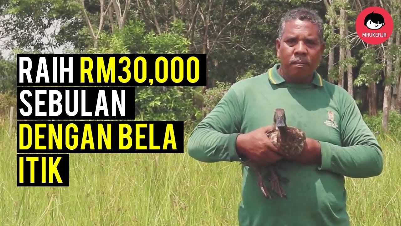 #MauSembang | Raih RM30,000 sebulan hanya bela itik