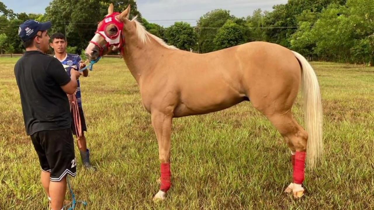 PRESENTACION - GP Amigos de Rincon - Hipodromo San Isidro - Rincon Guazu - 24/02/2026