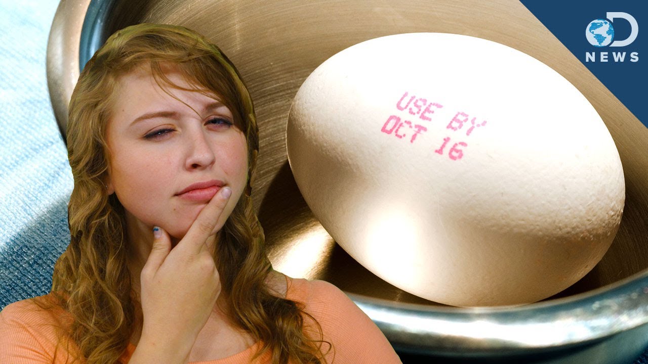 When Does Food Really Expire?