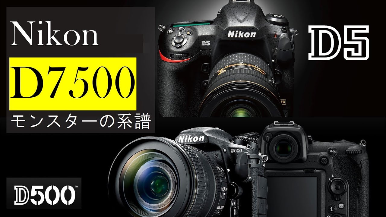 【Nikon D7500】エントリー機の皮をかぶったモンスターカメラ～NikonのフラグシップD5 D500の系譜～