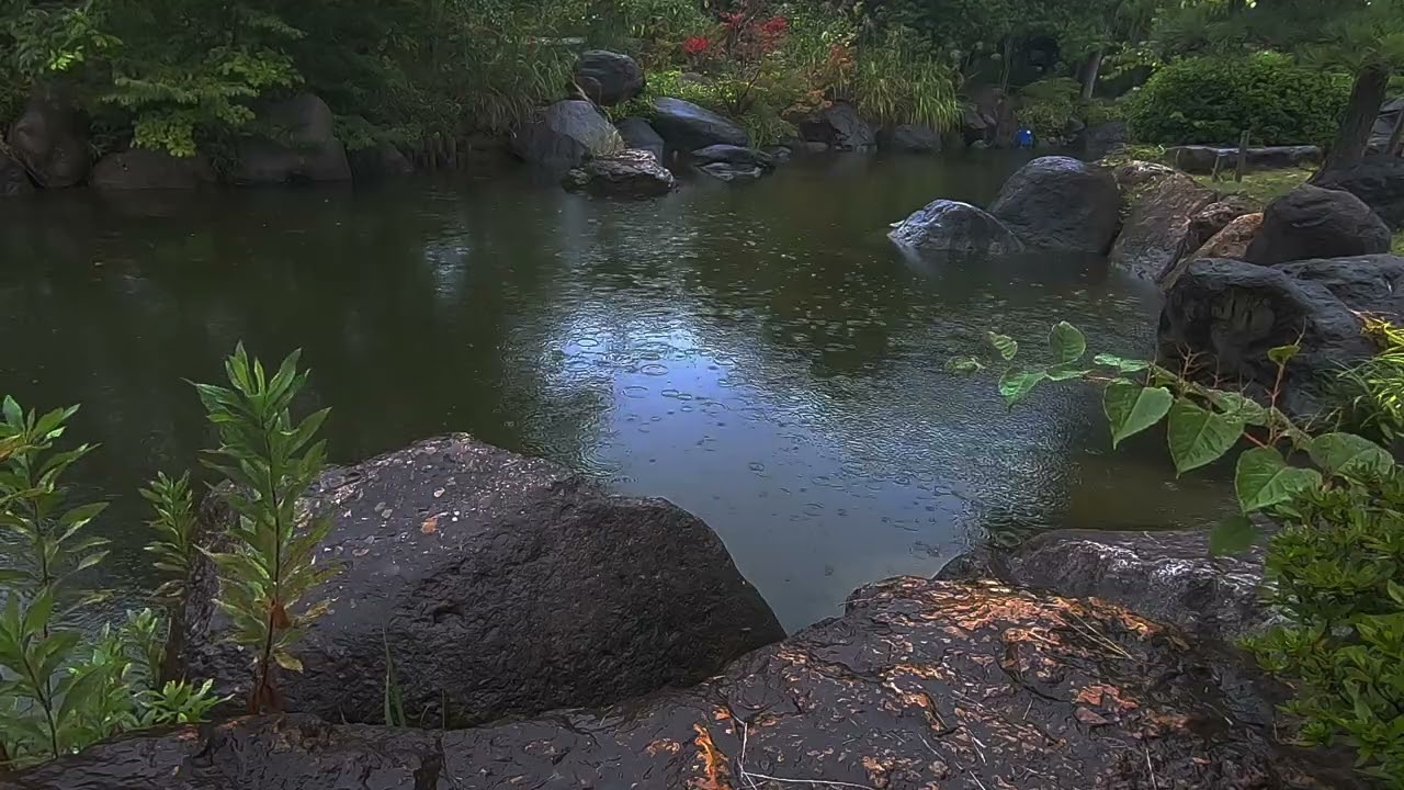 Gentle  rain falling on a garden - White noise insomnia sleep