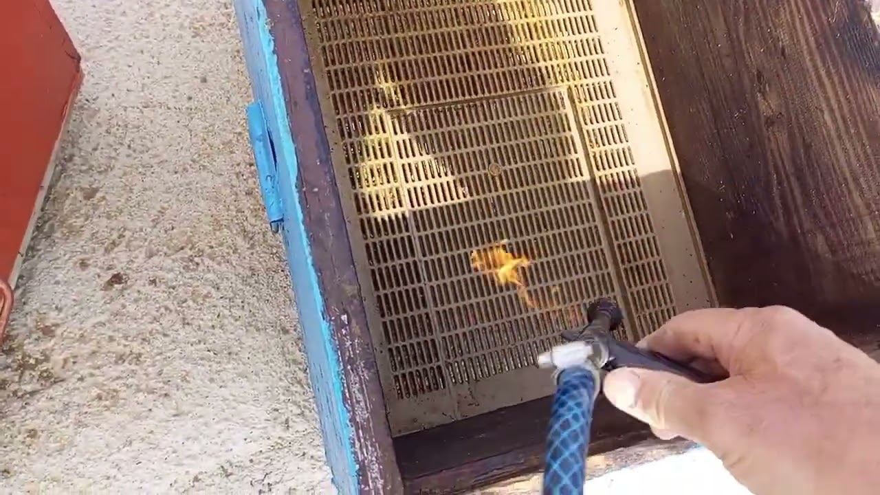 Polen tuzaklı kovan bahar hazırlığı 