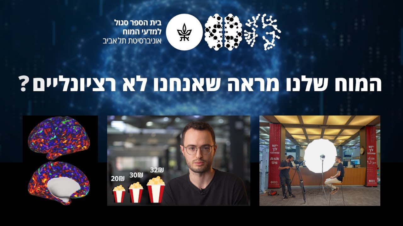 המוח שלנו מראה שאנחנו לא רציונליים?