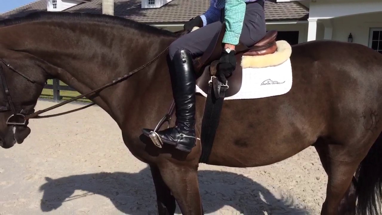 How to safely tighten your girth while mounted