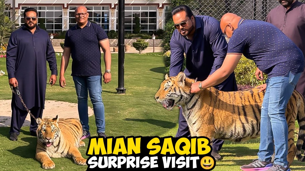 Mian Saqib ka Surprise Visit – Kya Mufasa 2 Lahore Aa Raha Hai? 🦁🔥 | B.T. Farm Stories