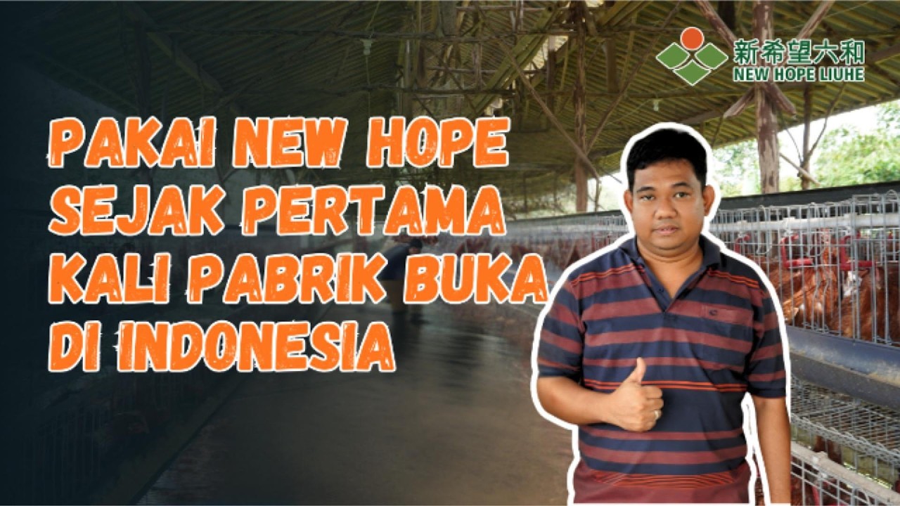 Produksi Puncak 95% & FCR 2.0: Cerita Sukses Peternak New Hope Indonesia