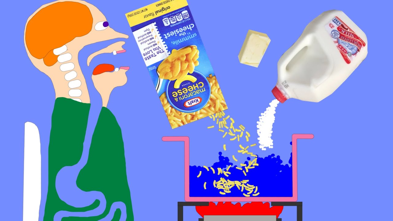 【Algodoo】Toilet while eating macaroni and cheese.　マカロニ＆チーズを食べながらトイレをする人