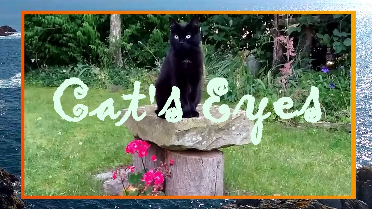 Cat's Eyes Music Video
