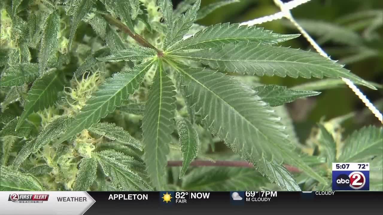 Wisconsin Republican lawmakers push for legalized medical marijuana in the state