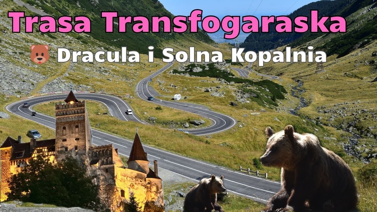 Trasa Transfogarska, Niedźwiedź na drodze i Drakula w zamkach. Magiczna Rumunia