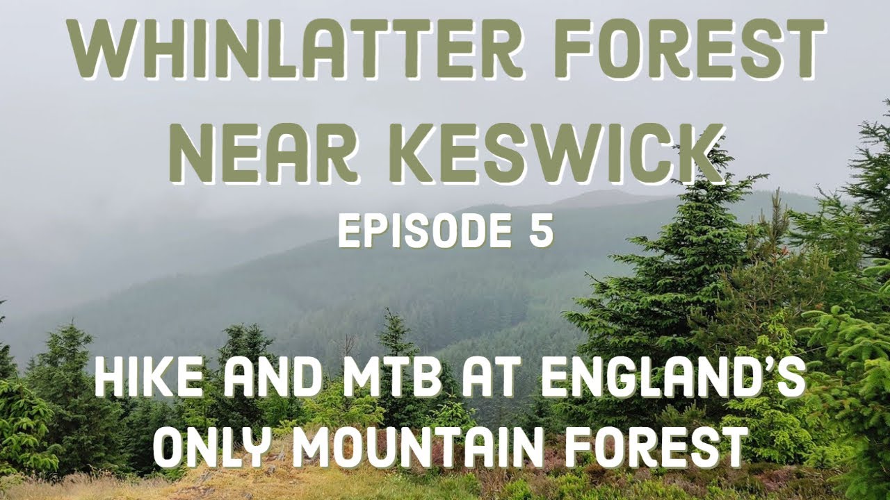 Hike and Bike at Whinlatter Forest near Keswick, the Lake District.