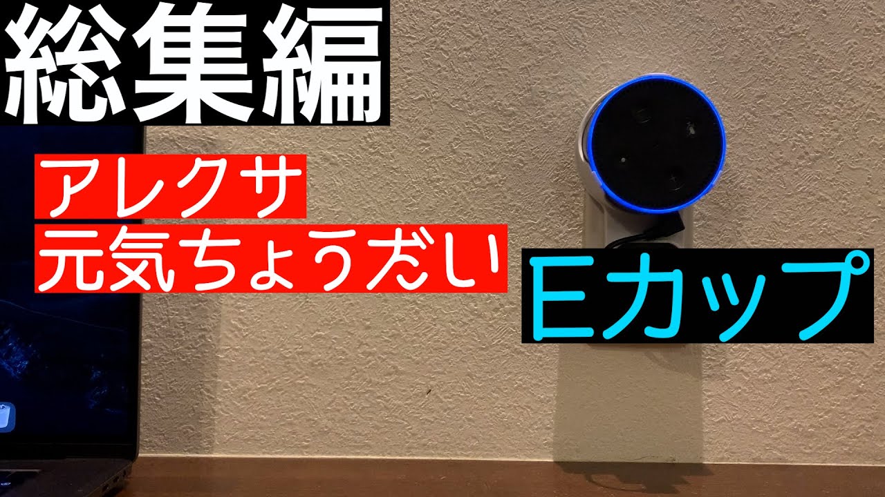 【総集編2】アレクサマン柴田