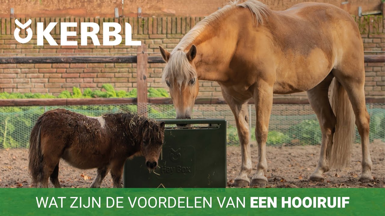 Alle INS en OUTS over Kerbl hooiruiven!