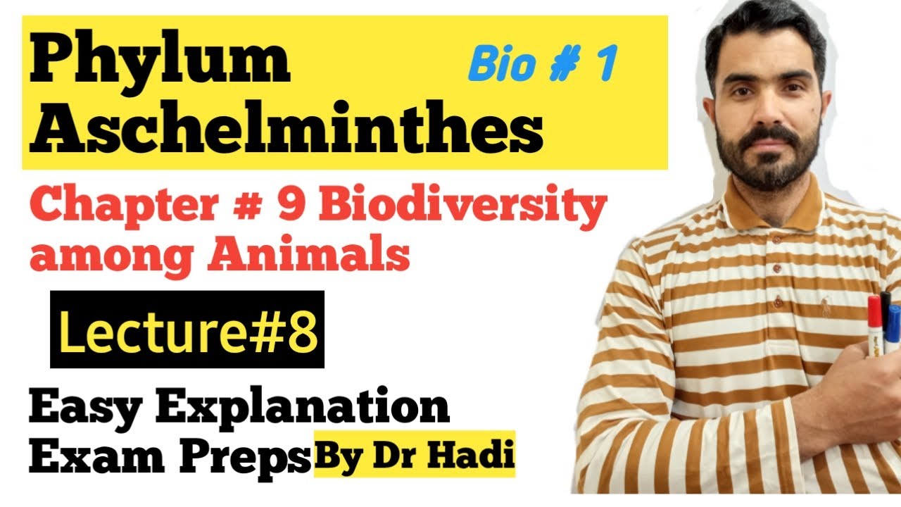 Phylum Aschelmenthes, Nematodes Round Worms full explanation in Urdu Hindi by Dr Hadi