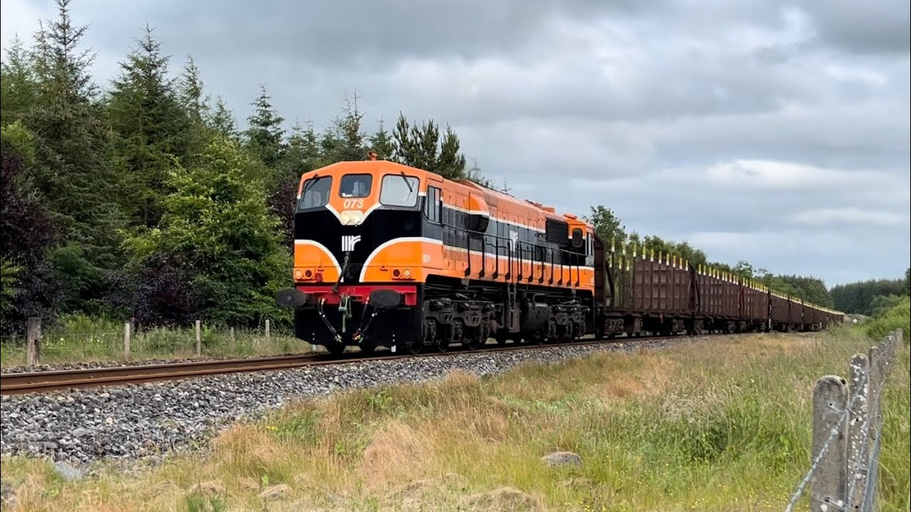 Part 1 - Mayo Branch Scenes 2024