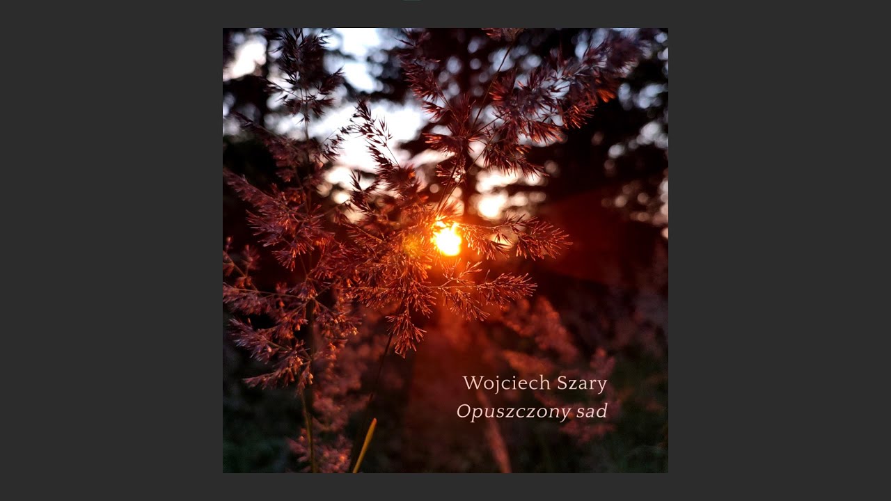 Wojciech Szary: Opuszczony sad (2023)