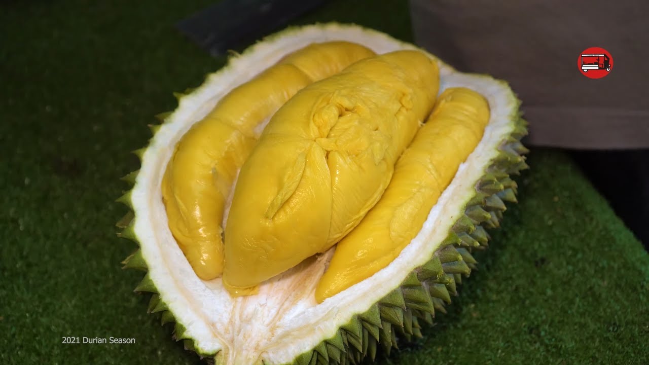Musang King Durian - Durian from the Highlands (Malaysia)