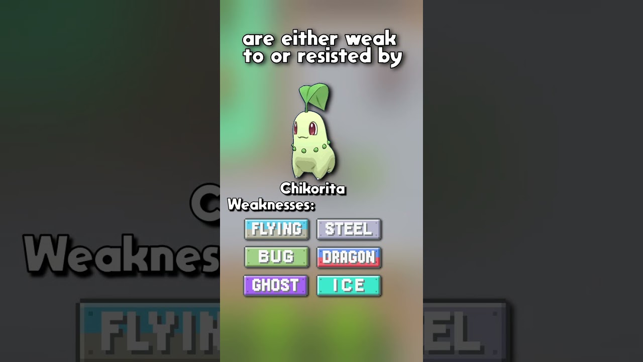 Chikorita Was Not Created Equal