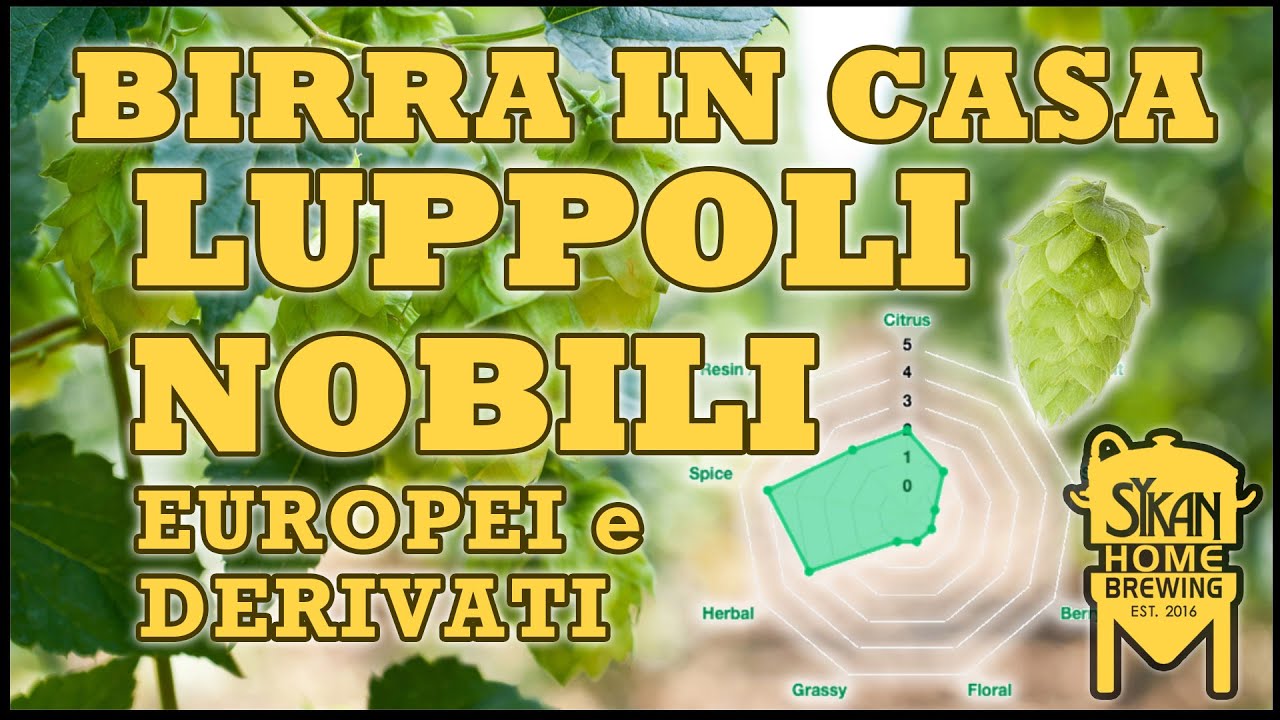 Luppoli NOBILI e derivati EUROPEI | varietà, caratteristiche e BIRRE | COME FARE la BIRRA in CASA