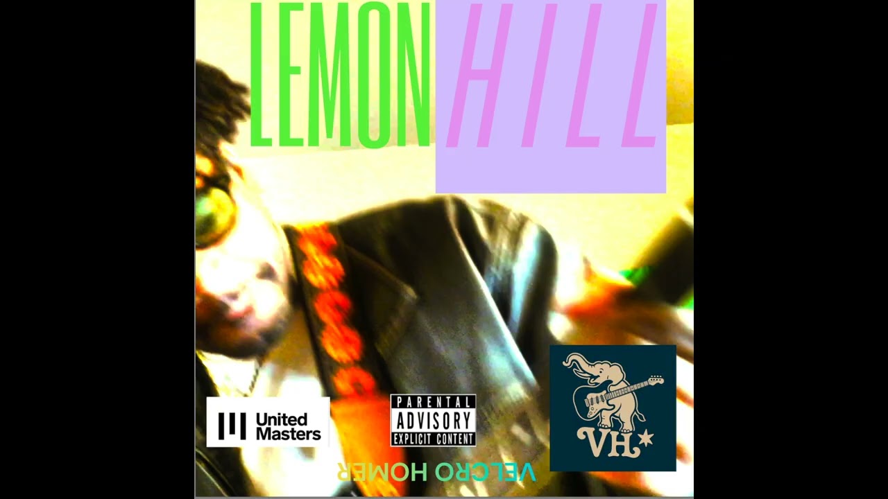 Velcro Homer : Lemon Hill