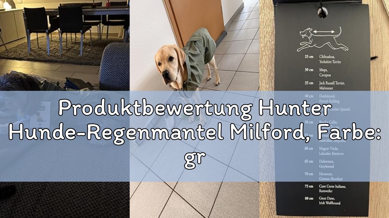 Produktbewertung Hunter Hunde-Regenmantel Milford, Farbe: grün, ergonomische Passform für optimalen