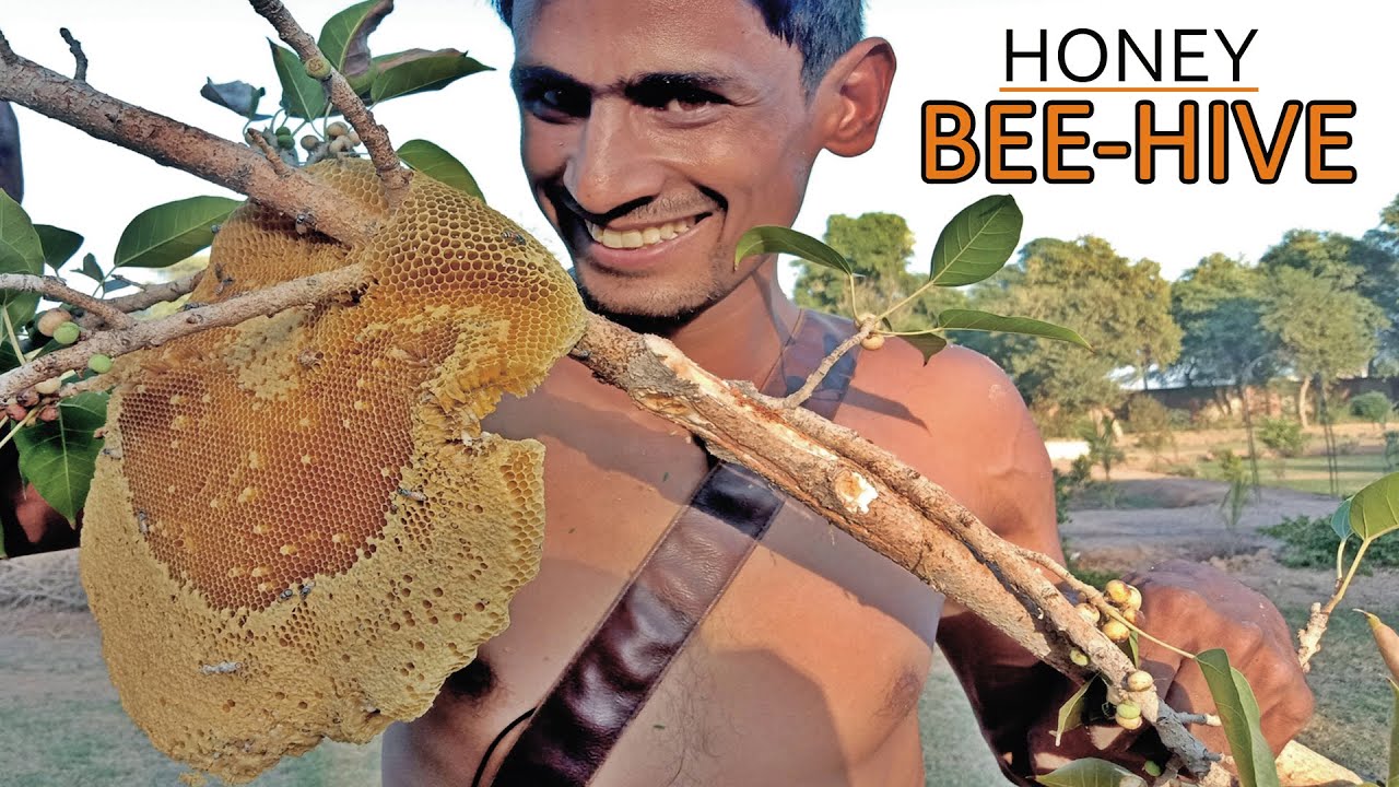 Honey Bees |A-z information