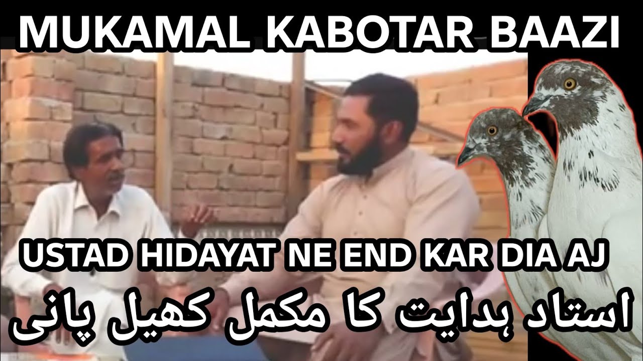 USTAD HIDAYAT KA MUKAMAL KHEL PANI #pigeon #bird #kabutar 