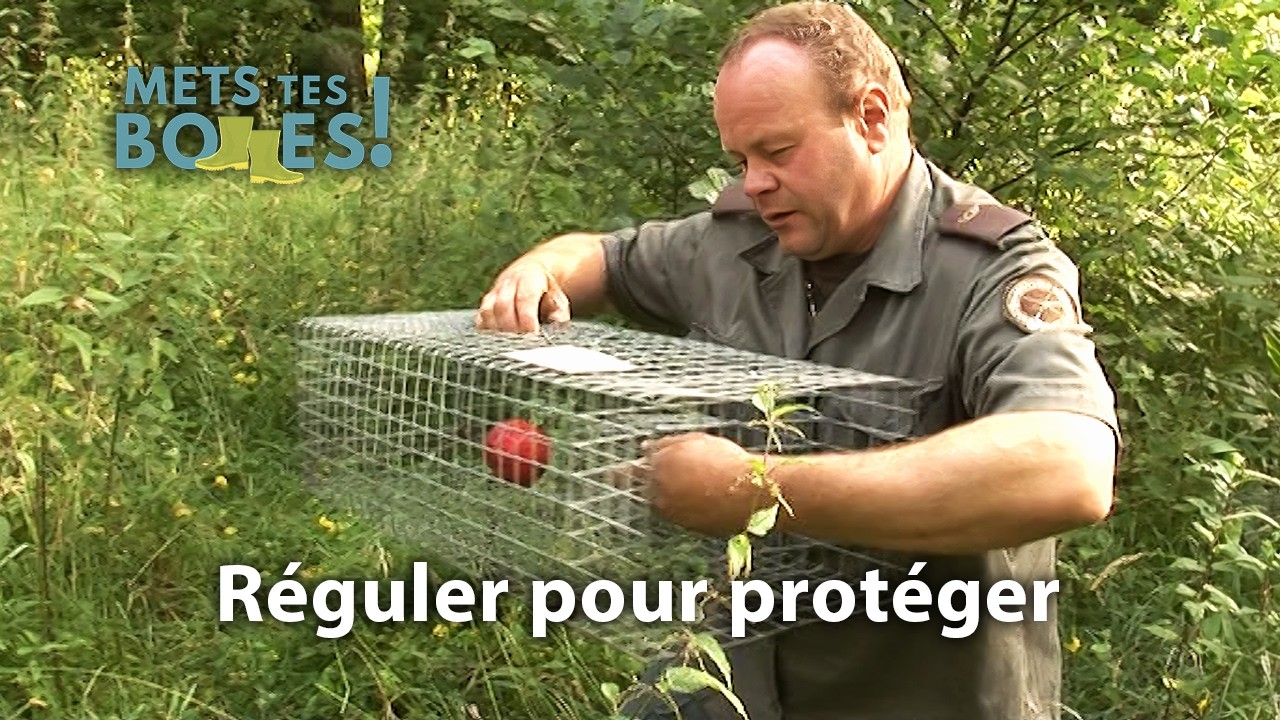 Le pi&eacute;geage : une pratique ancestrale au service de la biodiversit&eacute;