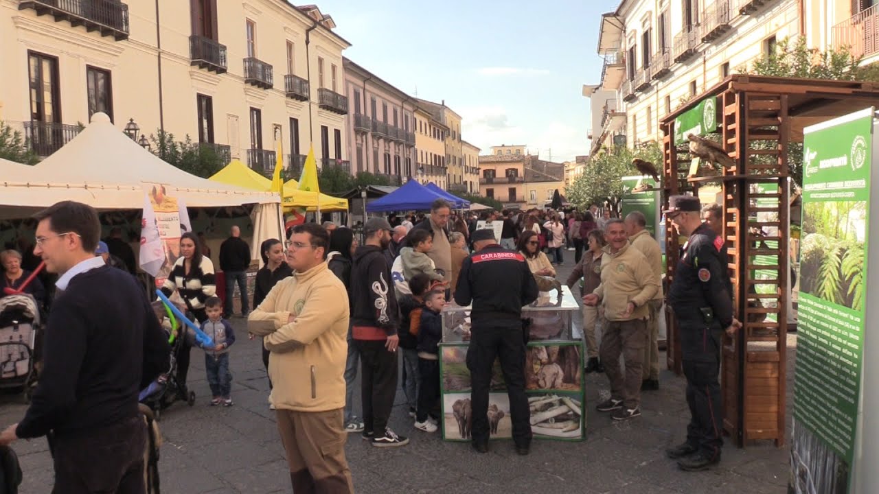 Due giorni di festa a Piedimonte Matese per la Fiera di San Martino