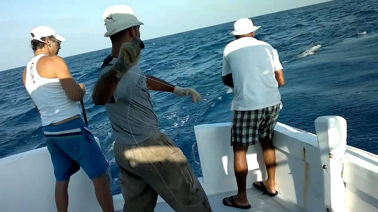 محمد أناشى يصطاد انشى كبير