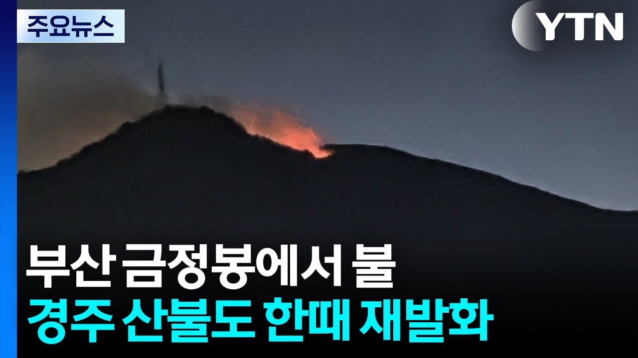 부산 금정봉에서 불...경주 산불도 한때 재발화 / YTN