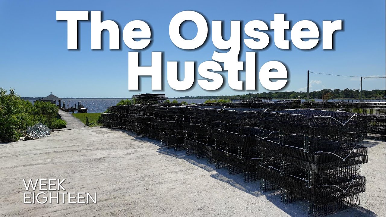 Oyster Seed Secrets