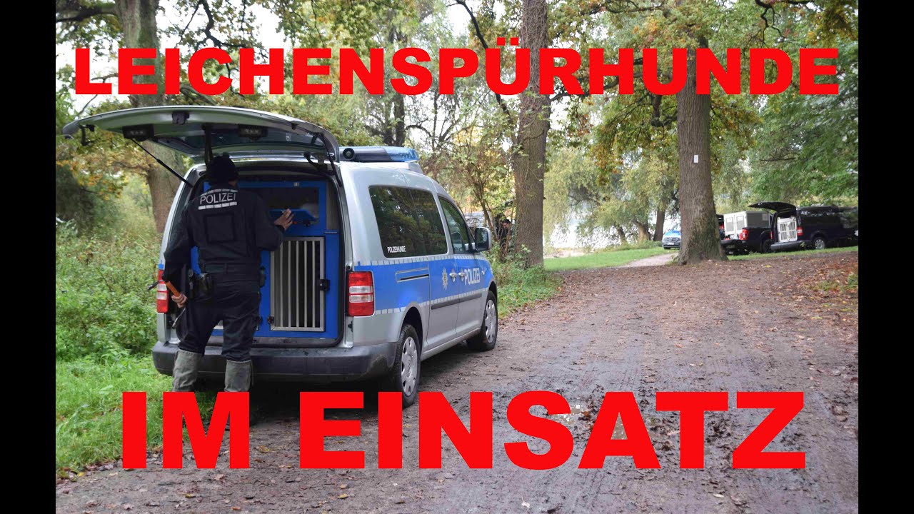 Leichensp&uuml;rhunden und Taucher am Rhein im Einsatz - Suche nach mutma&szlig;lichem S&auml;ugling geht weiter