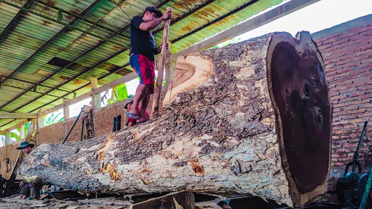 The Most Dangerous Sawmill in the World &ndash; Processing Giant Trembesi Logs