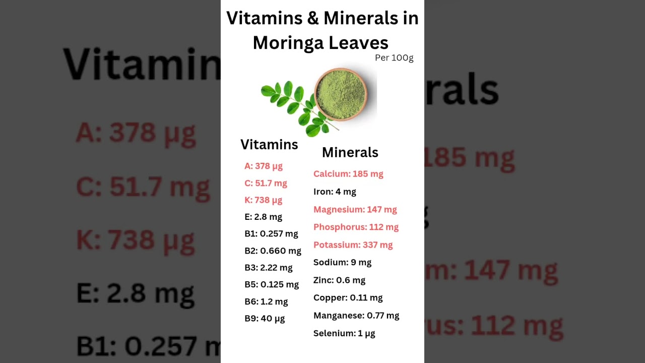 Vitamins & Minerals in Moringa Leaves #shortsfeed #shorts #short #ytshort #ytshorts #yt #moringaleaf