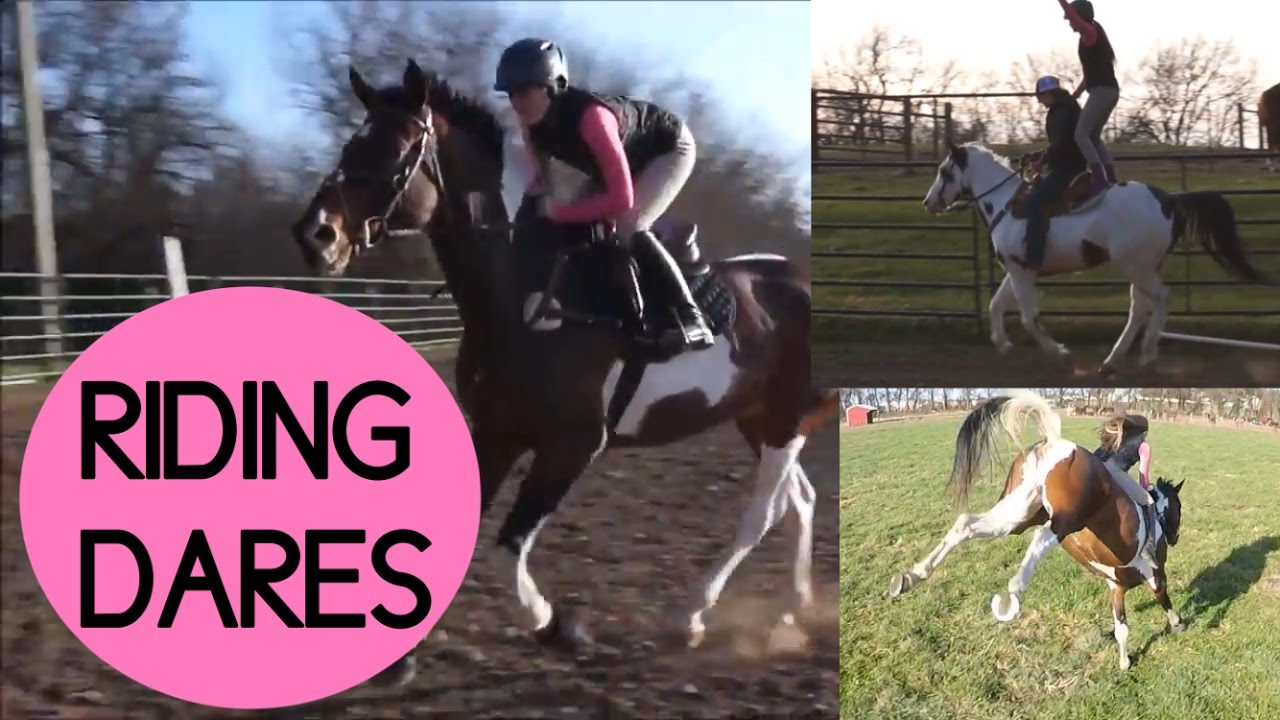 EQUESTRIAN RIDING DARES!