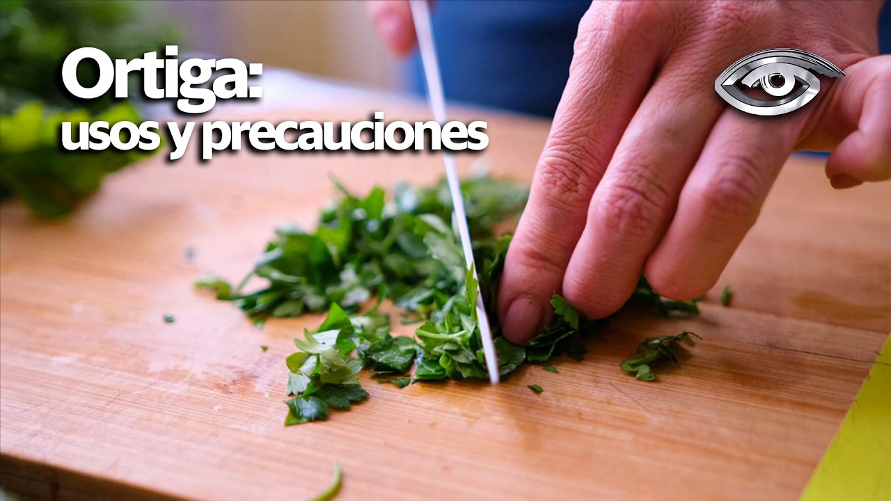 Ortiga: usos y precauciones - Día a Día - Teleamazonas