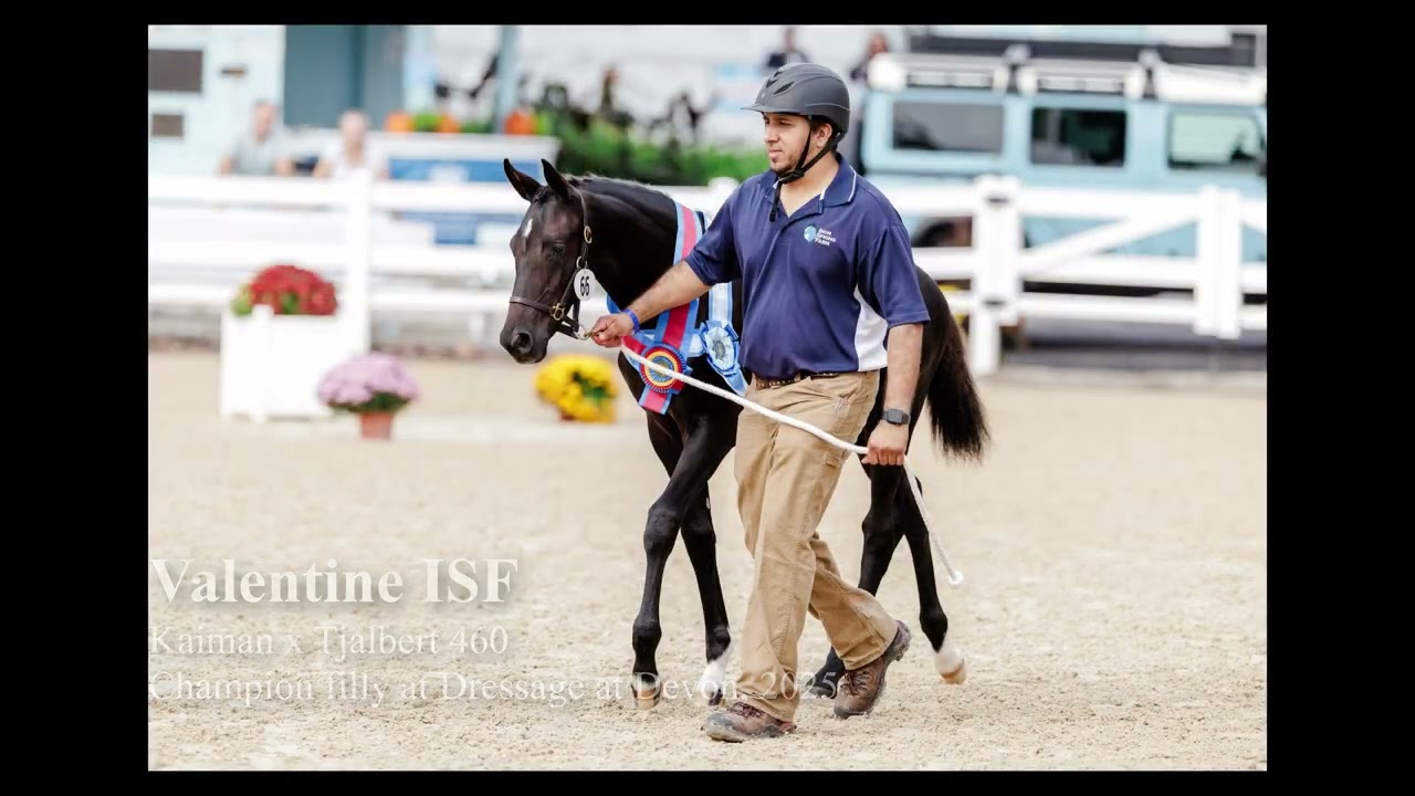 Kaiman offspring - Iron Spring Farm