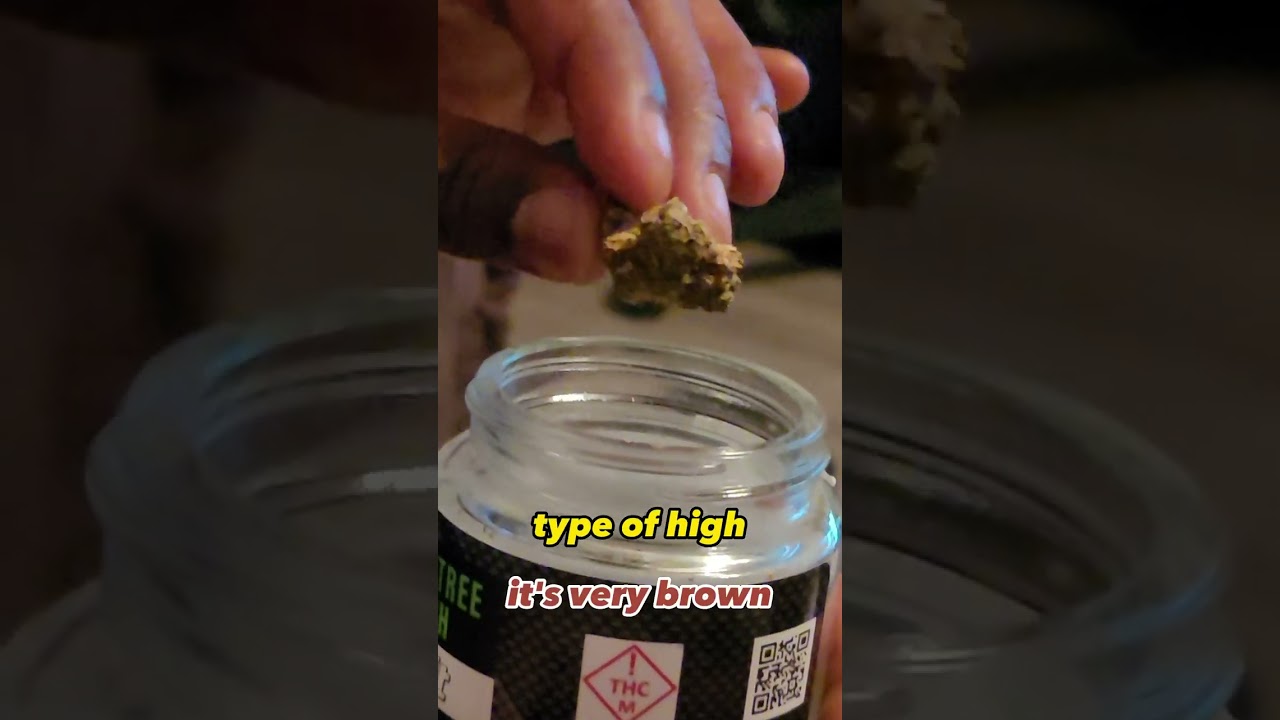 (21 & OVER) Illicit Lemon Tree Punch - MARIJUANA REVIEW #shorts #420