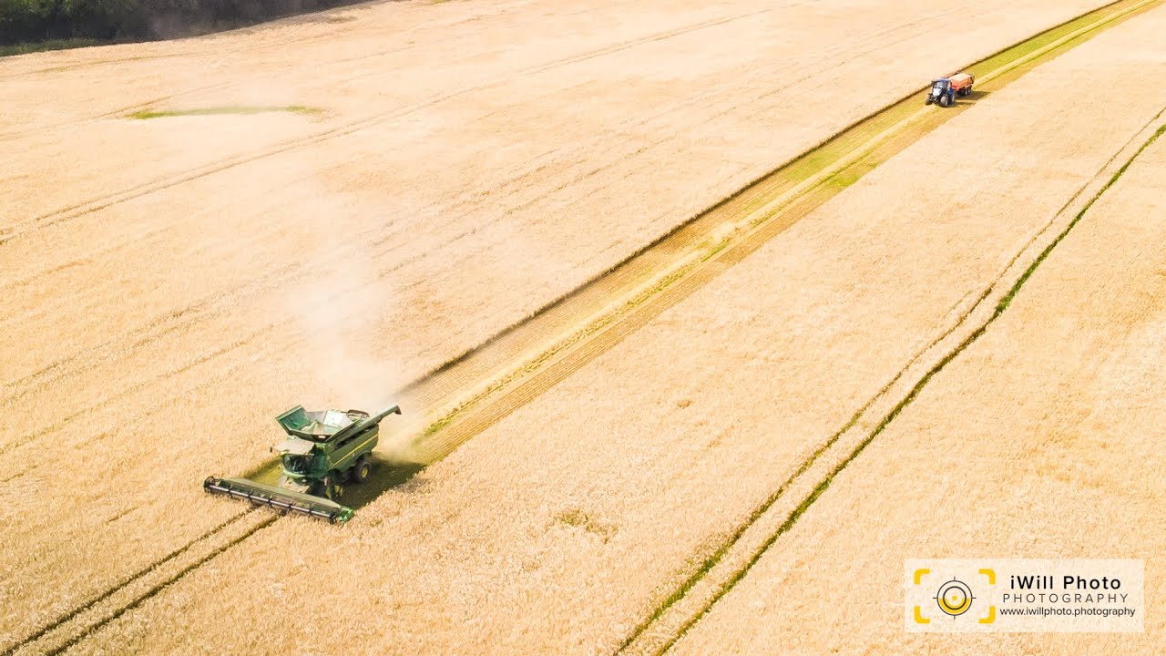 Harvest in Staplehurst