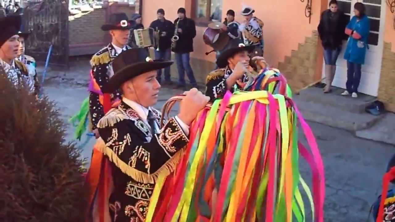 Caii din Stănești 2014