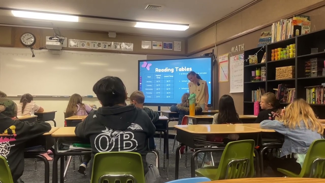 Lily Dalton Lesson Plan and Delivery STEM