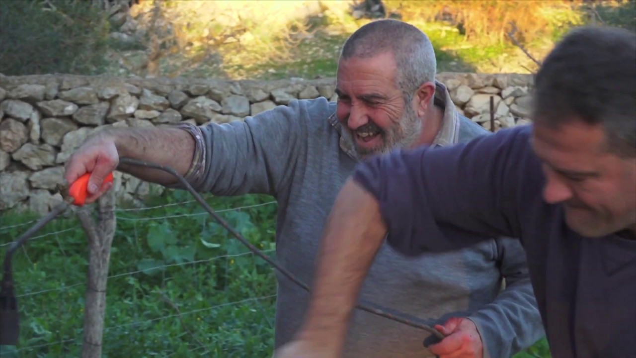 UEP! COM ANAM? [438] - MASCARES DE DIMONIS, MATANCES A ARTÀ I ESPINAGADA DE LLOM