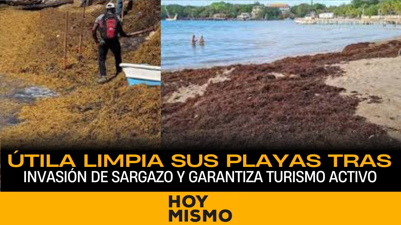 Útila limpia sus playas tras invasión de sargazo y garantiza turismo activo