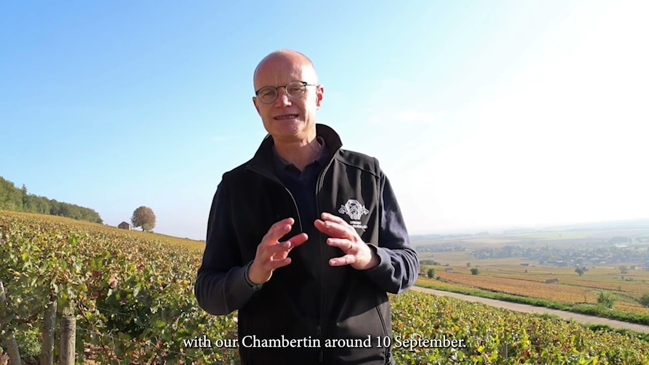 Bouchard Père & Fils 2022 Vintage by Frédéric Weber