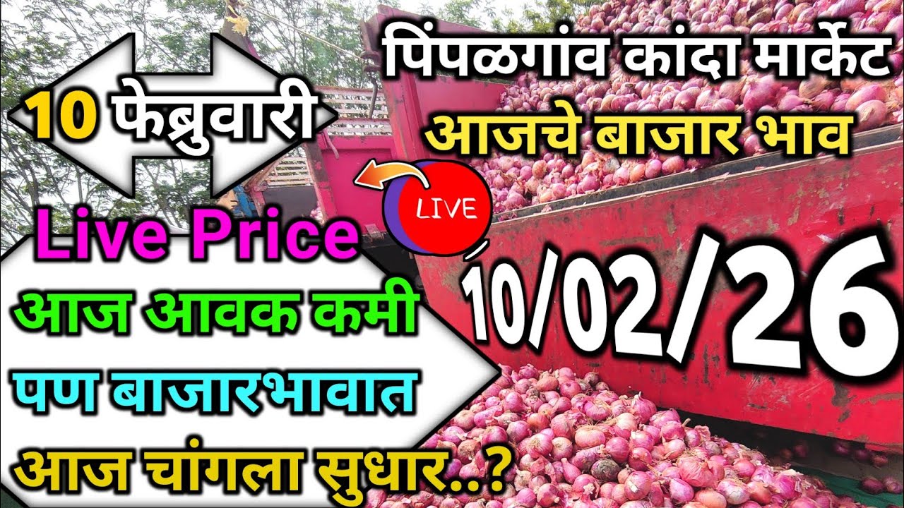 Pimpalgaon Onion Market Price Today:Latest Rates And Insights 10 February 2025