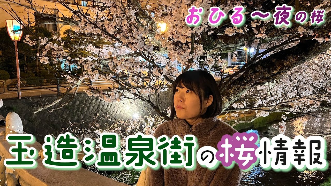 【ぶらり玉造温泉】温泉街のさくらを見に行こう！カフェや足湯も♩【ジムニードライブ旅】