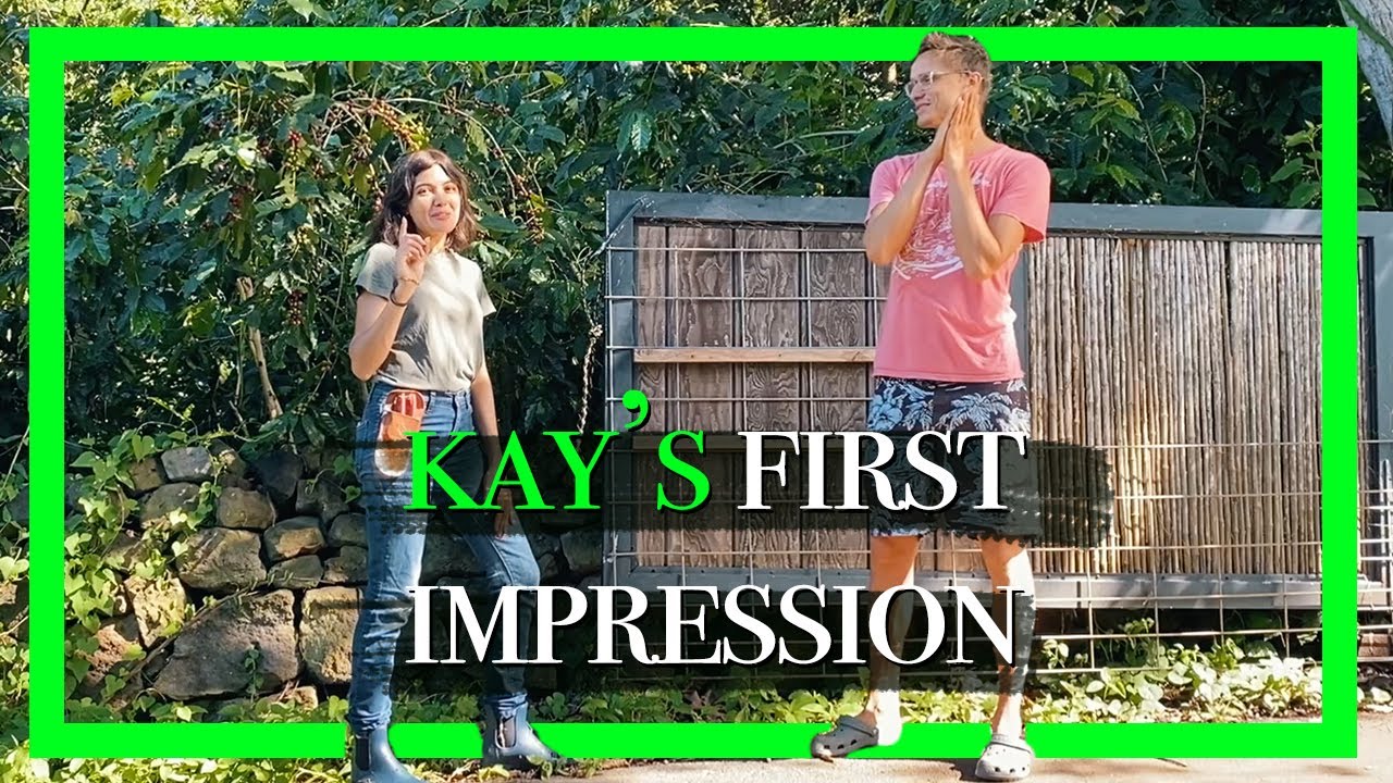 Kay&rsquo;s first impression of Gingerhill Farm