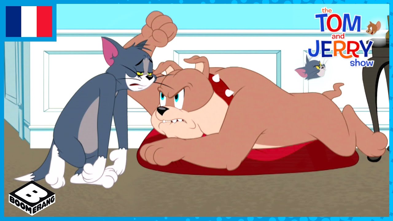 Tom et Jerry Show en Français 🇫🇷 | Activités paranormales